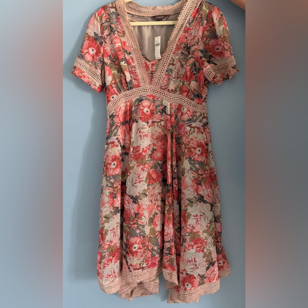 Ranna Gill Anthropologie Pink Floral dress. (Size 12)